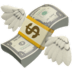 Illustration of a money with wings